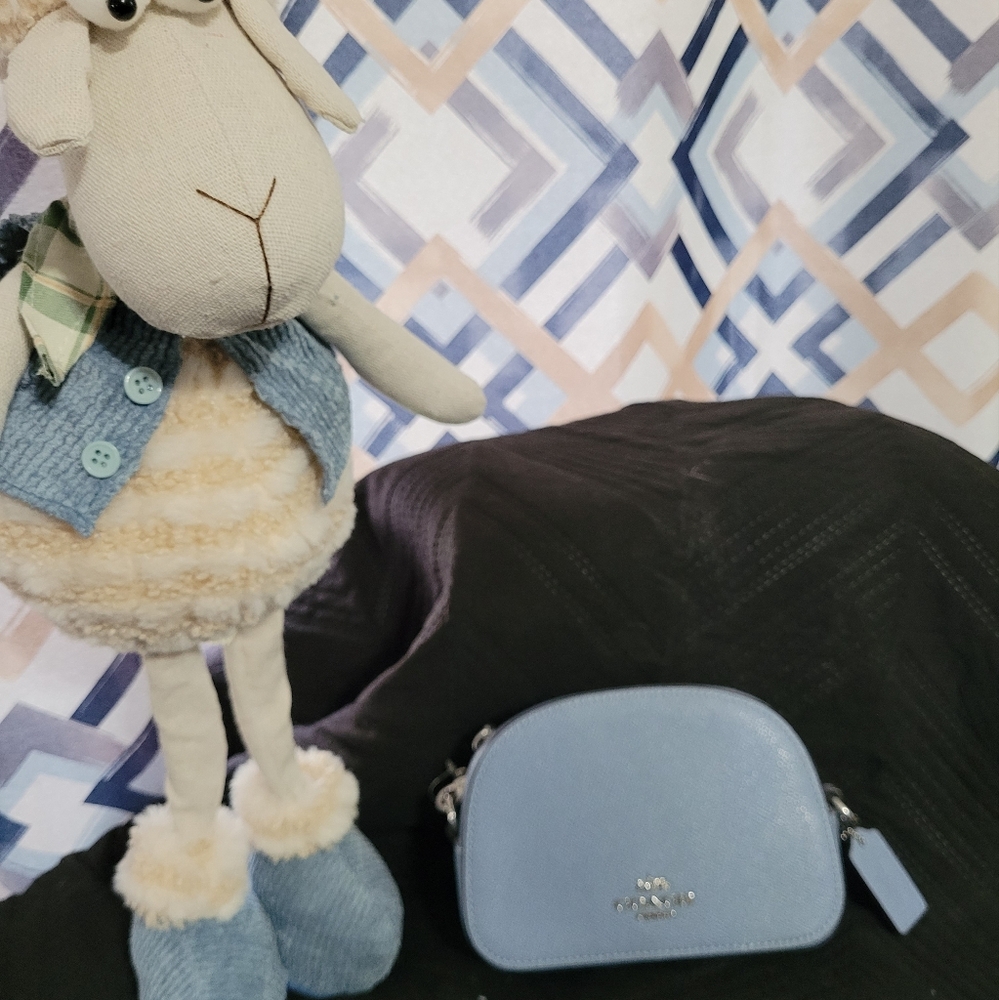 COPY - STILL AVAILABLE - BUYER CANCELED ORDER - Coach purse
